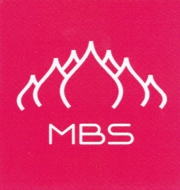 Moscow Business School