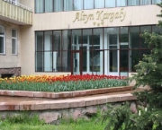 Altyn kargaly
